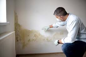 Asbestos and Lead Testing During Mold Inspection in North Fond Du Lac, WI